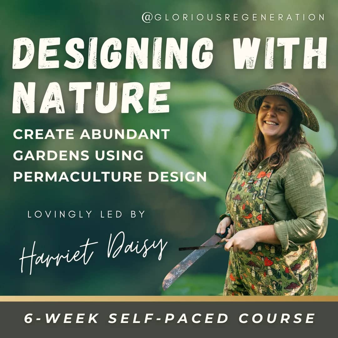 Designing with Nature course