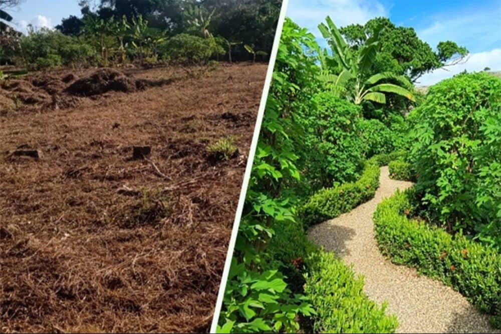 Permaculture garden consultation