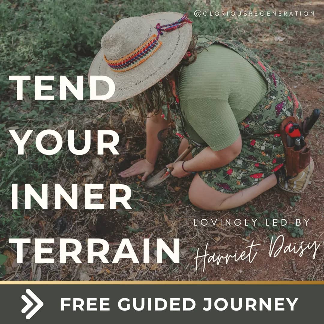 Tend Your Inner Terrain — Free Guided Journey