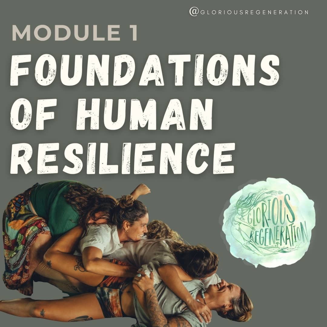 Foundations of Human Resilience